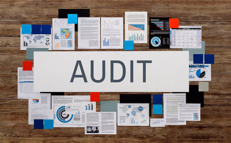 Audit Services